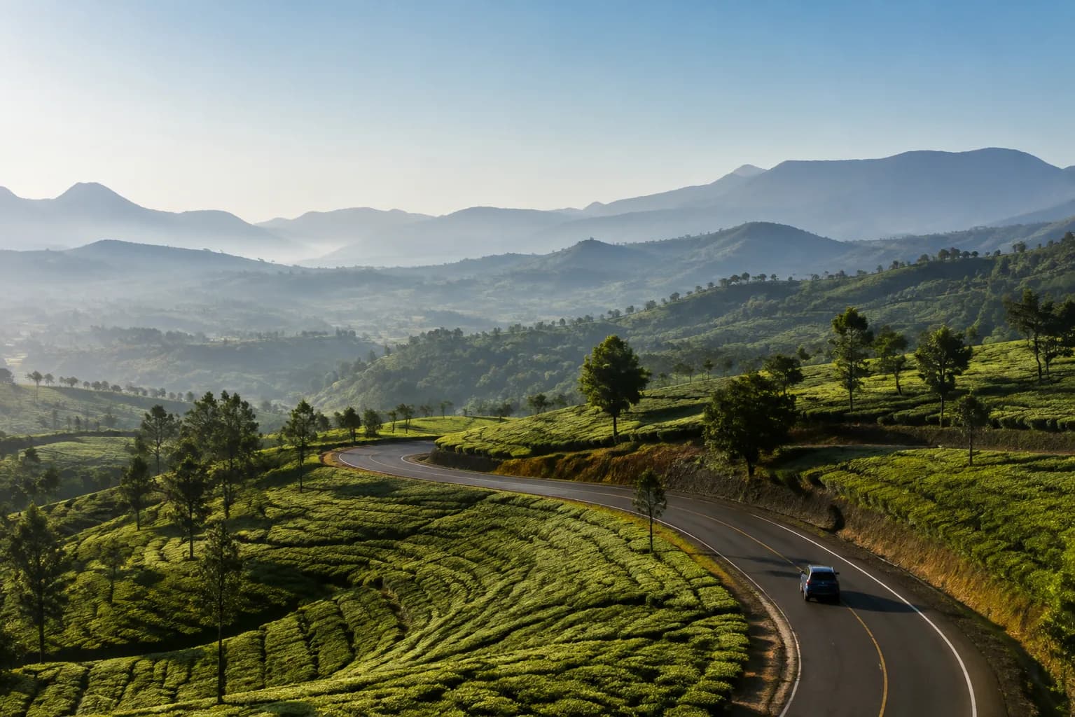 An open highland road winding through green tea country